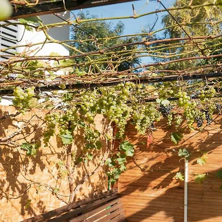 Riese Gasthuis Neustift im Stubaital