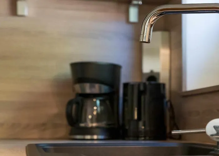 Riese 施图拜河谷新施蒂夫特