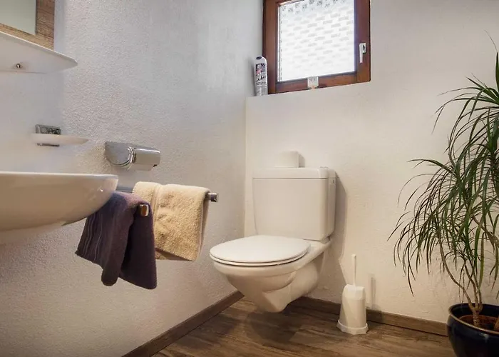 Riese Neustift im Stubaital